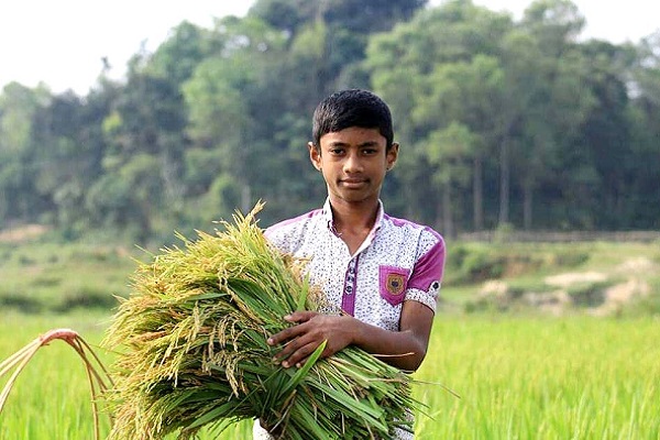 Agriculture Loans