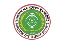 RRI