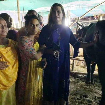Pathway Sacrifices Cow For Transgenders On Eid Ul Azha 2022
